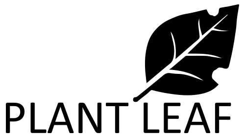 بلانت ليف