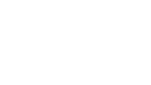 بلانت ليف